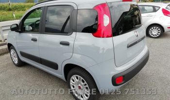 FIAT PANDA HYBRID + vari colori pieno