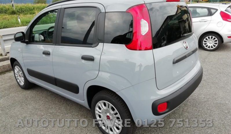 FIAT PANDA HYBRID + vari colori pieno