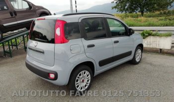 FIAT PANDA HYBRID + vari colori pieno