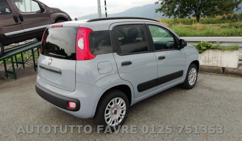 FIAT PANDA HYBRID + vari colori pieno