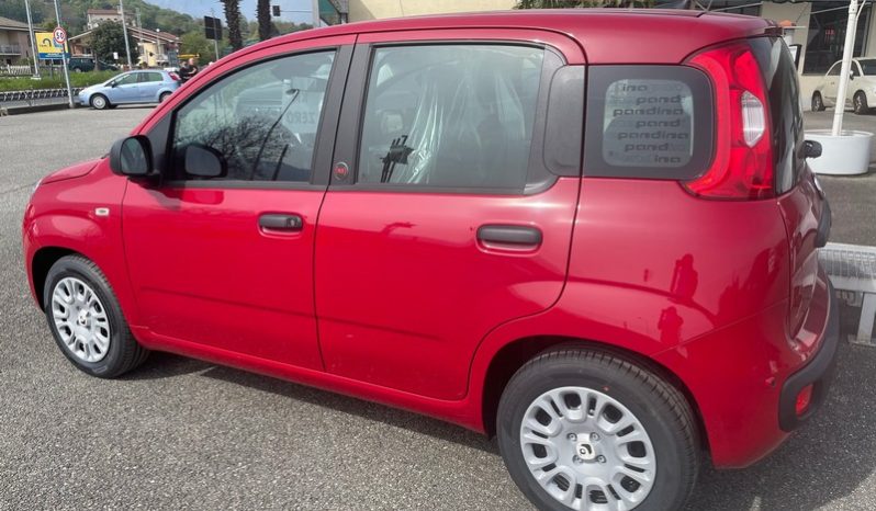 PANDINA HIBRID ICON KM 0 pieno