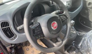 PANDINA HIBRID ICON KM 0 pieno